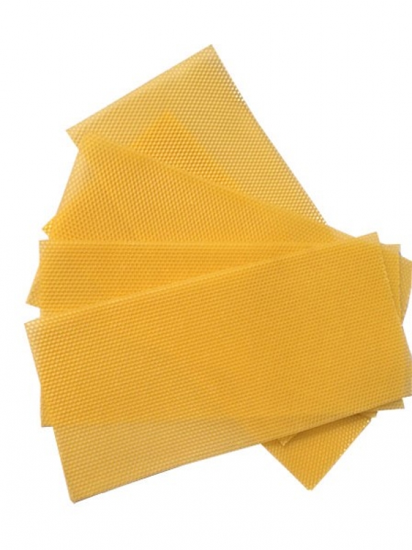 Foundation WSP  - Carton 200