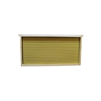 Frames Assembled with Foundation